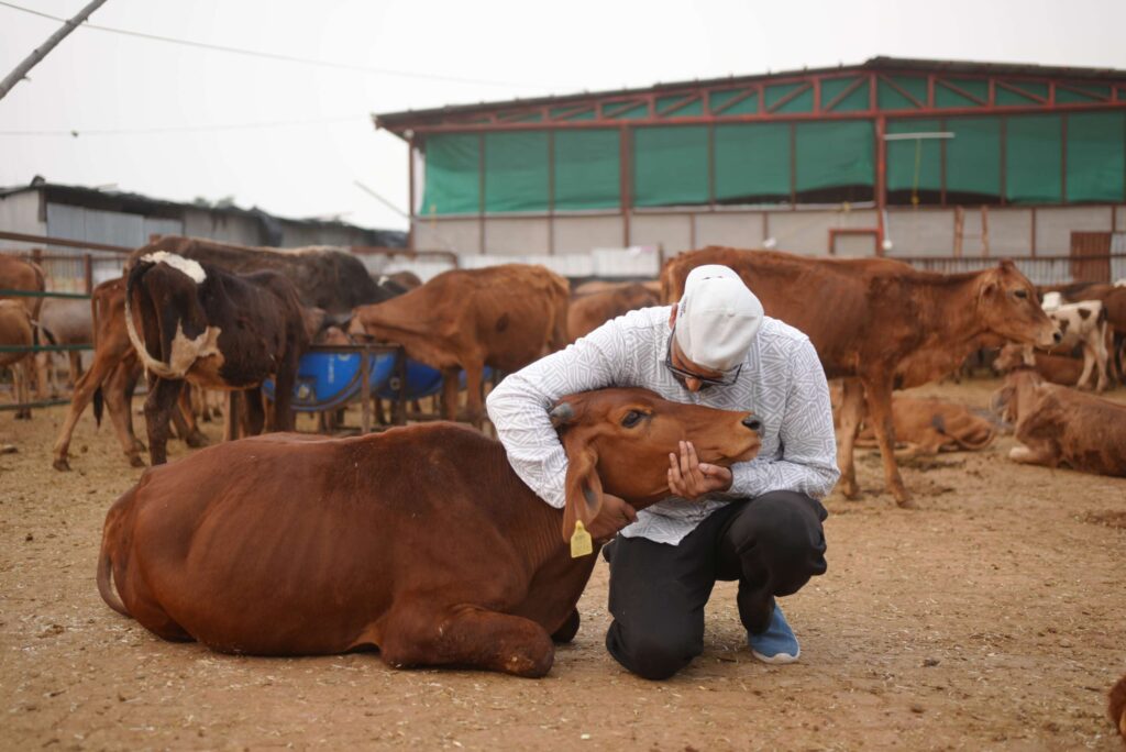 Community Involvement