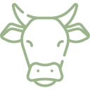 icn image 