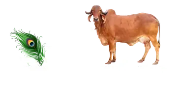 Sri Golok Dham