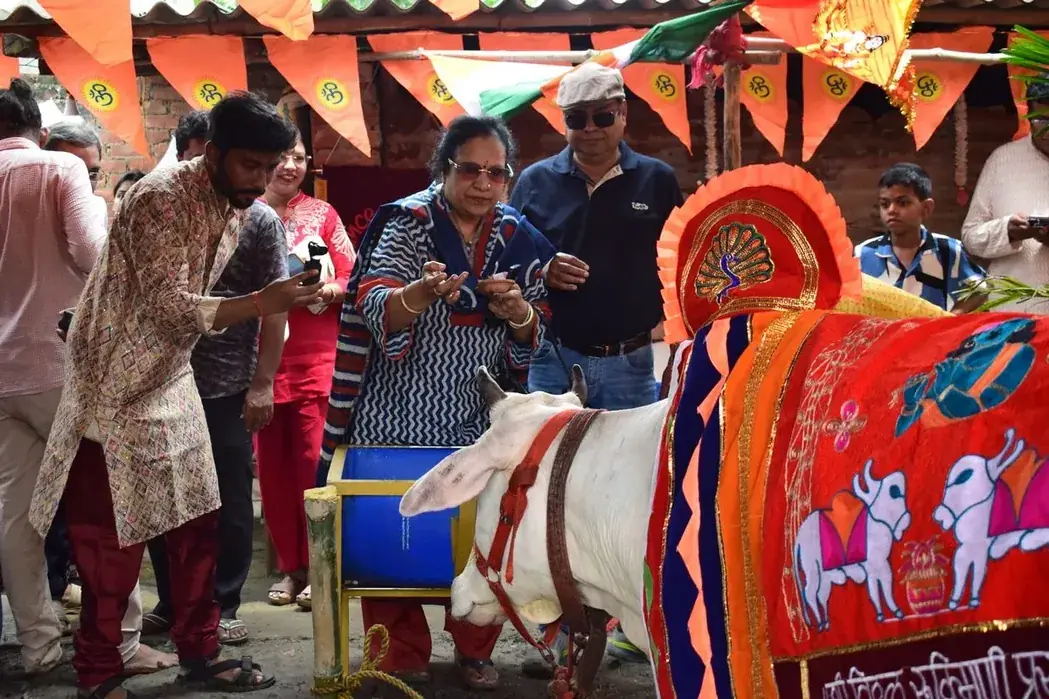 Guests gathered around Gau Mata on a festival morning