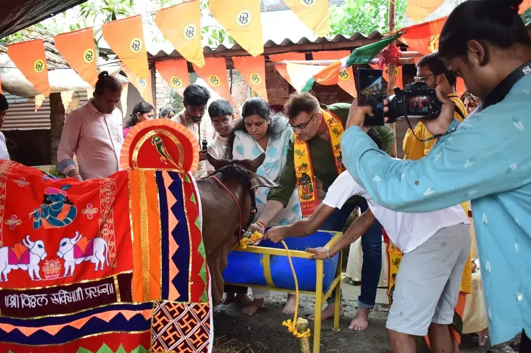 Visitors and a photographer beside Gau Mata at the trough