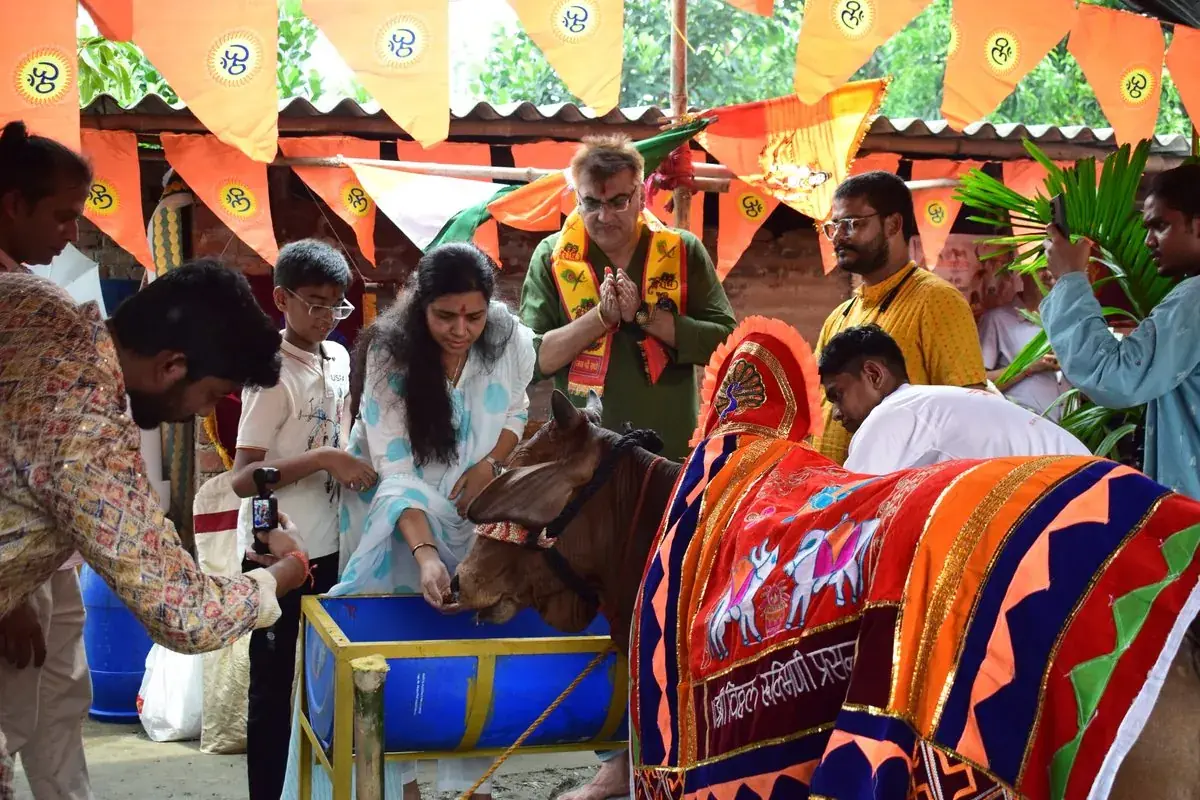 Visitors crowding around a decorated cow during the celebration