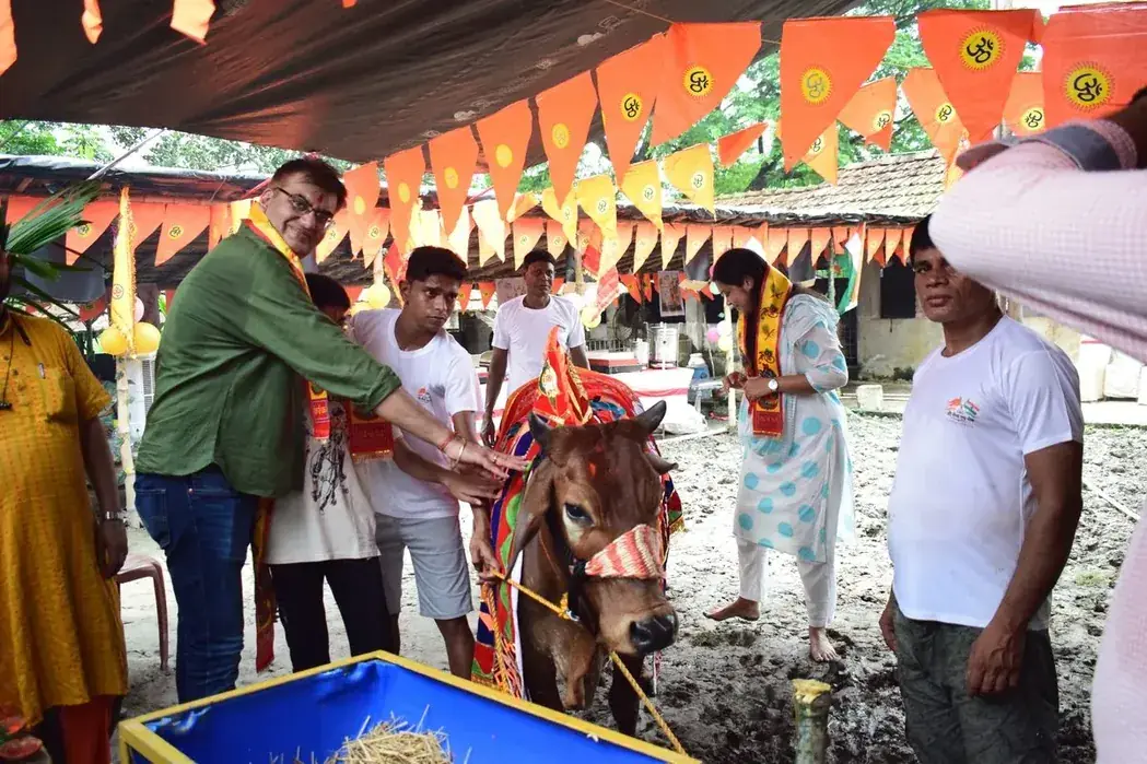 A visitor feeding Gau Mata by hand